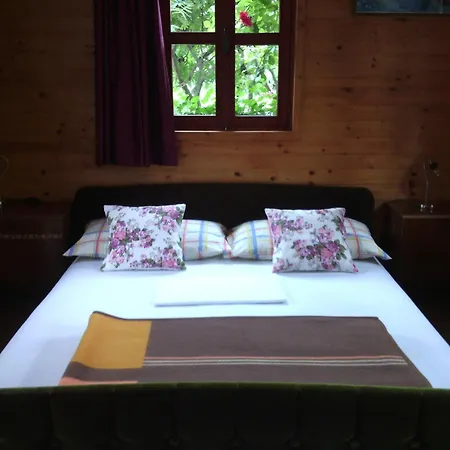 House Ilija Hodak Seliste Dreznicko Room photo