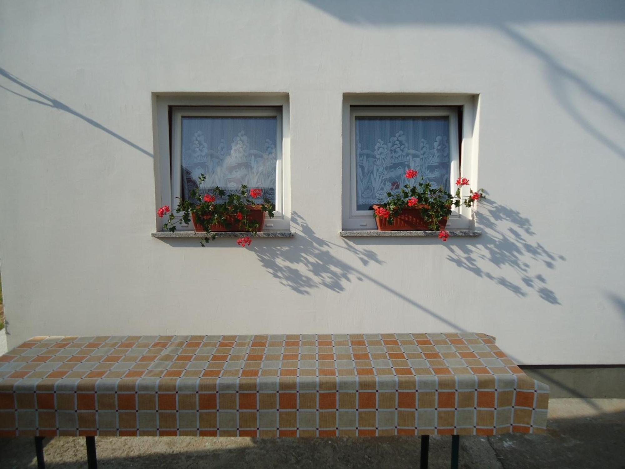 Apartment House Ilija Hodak *