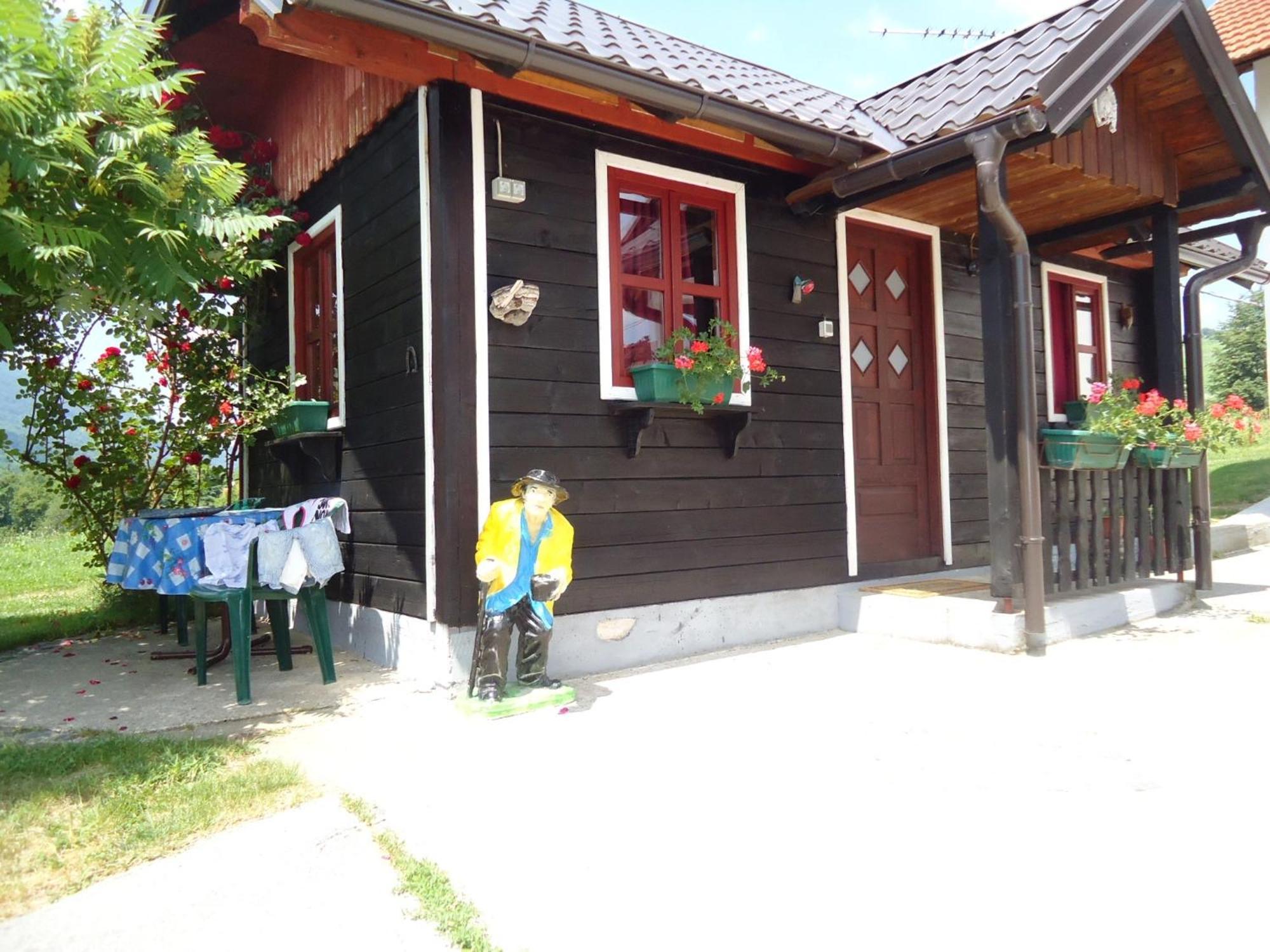 Apartment House Ilija Hodak *